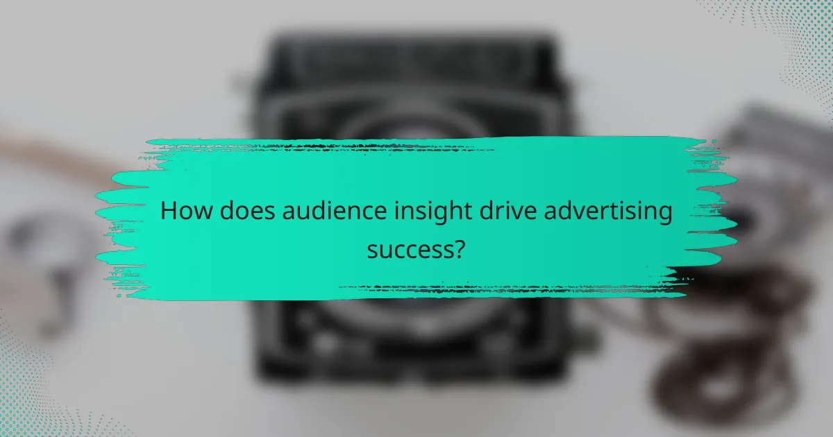 How does audience insight drive advertising success?