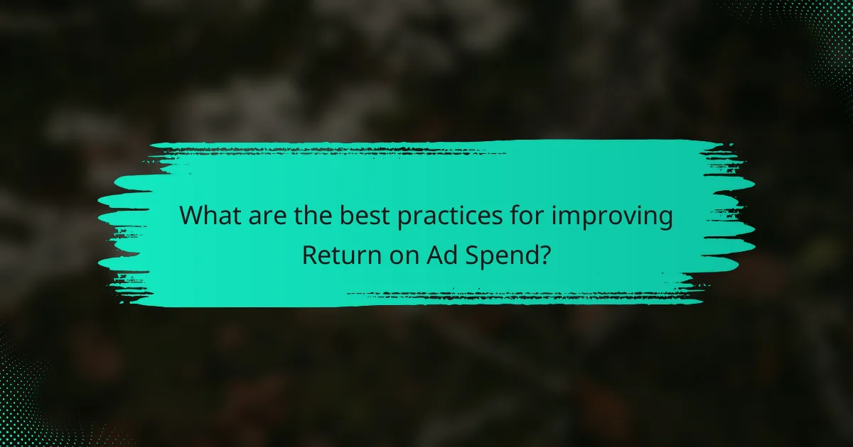 What are the best practices for improving Return on Ad Spend?
