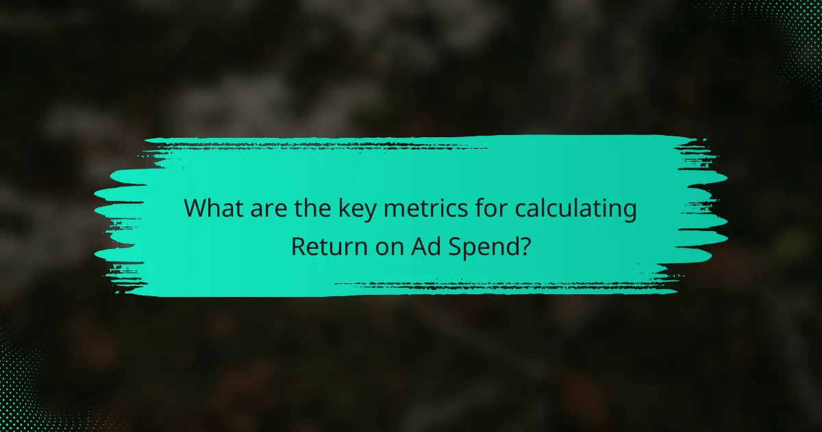 What are the key metrics for calculating Return on Ad Spend?