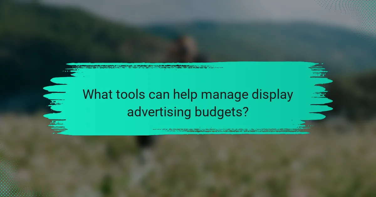 What tools can help manage display advertising budgets?