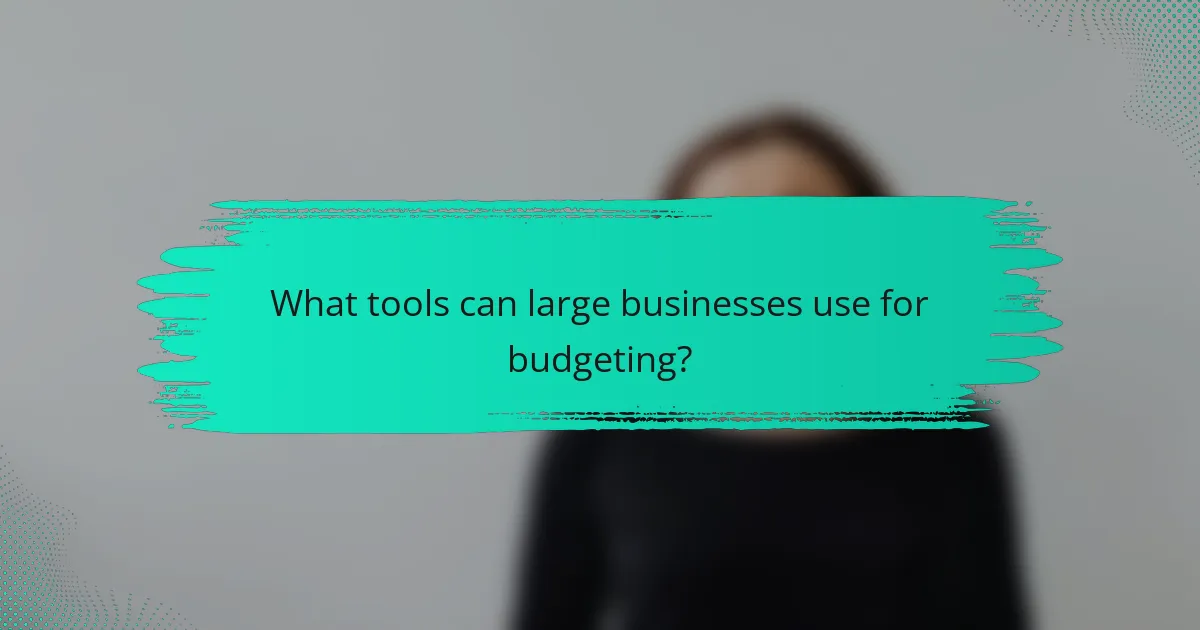 What tools can large businesses use for budgeting?