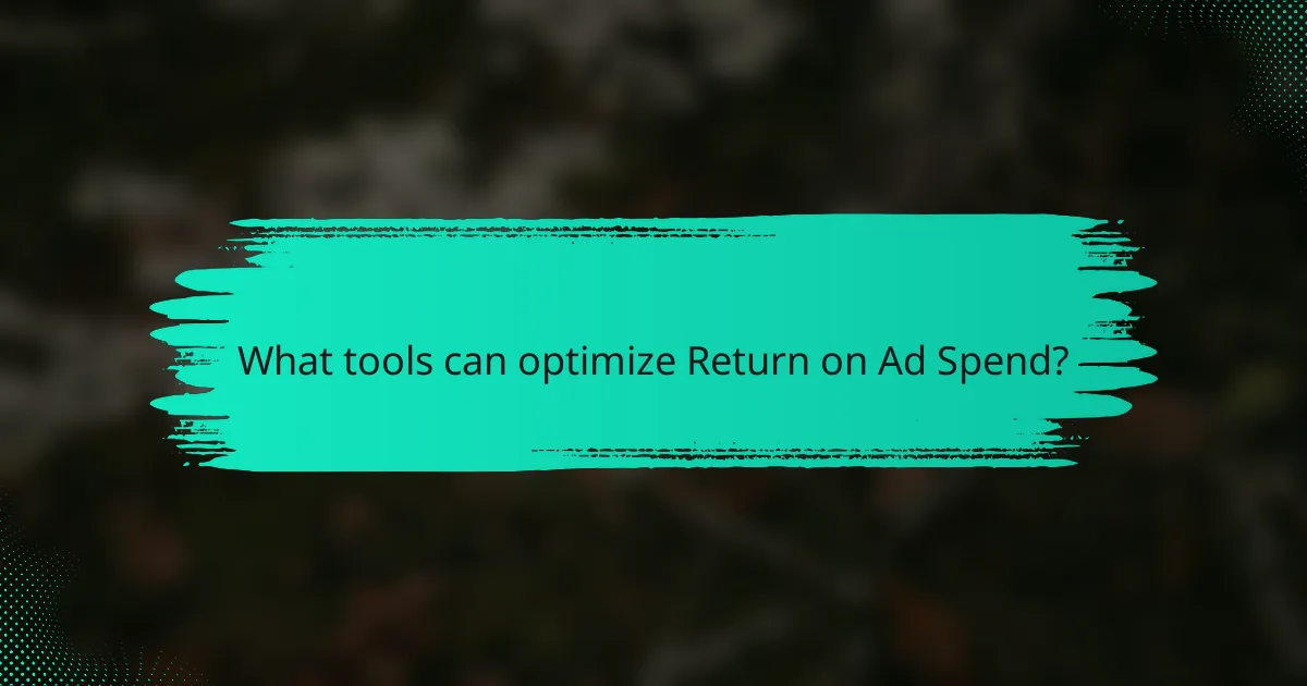 What tools can optimize Return on Ad Spend?